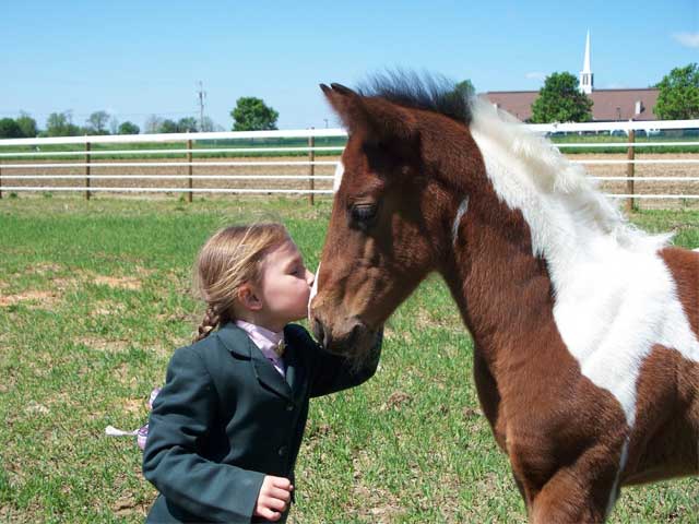 Horse Kisses!