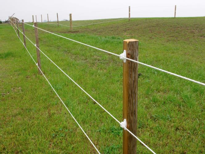 Medium view of white ElectroBraid fencing