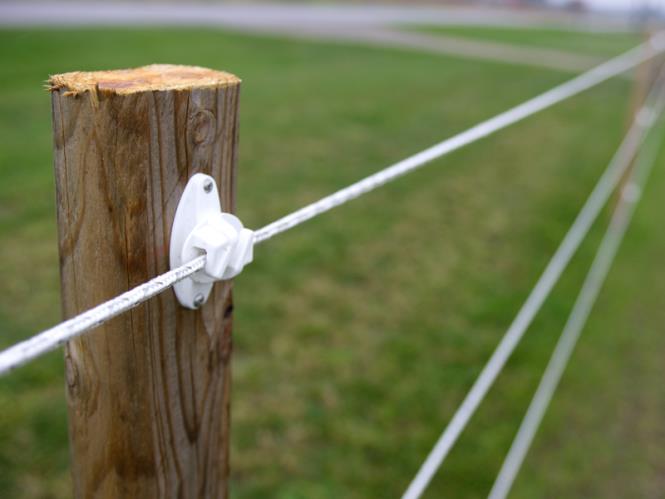 White ElectroBraid horse fencing