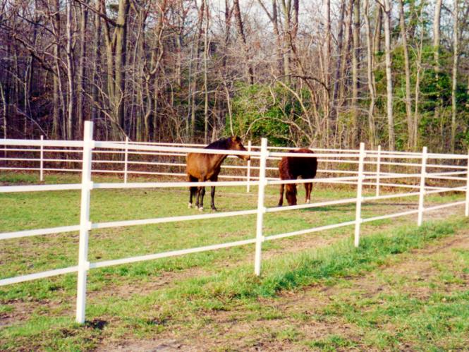 Electric tape keeps your horses off the fence line