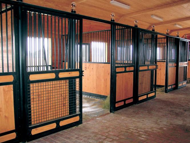 Designer Nobleman horse stalls with v-door