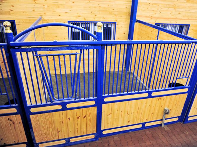 Nobleman horse stall with solid partitions in between stalls