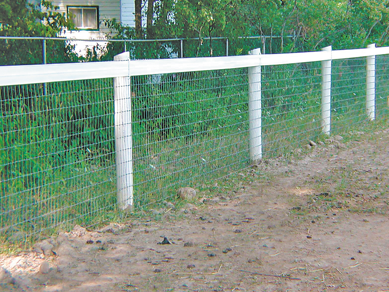 Choosing the Right Fence For Your Horse's Safety