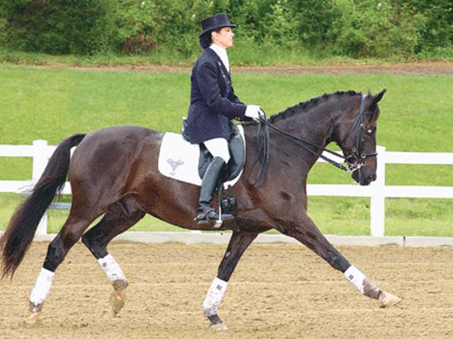 DRESSAGEWEB2.jpg